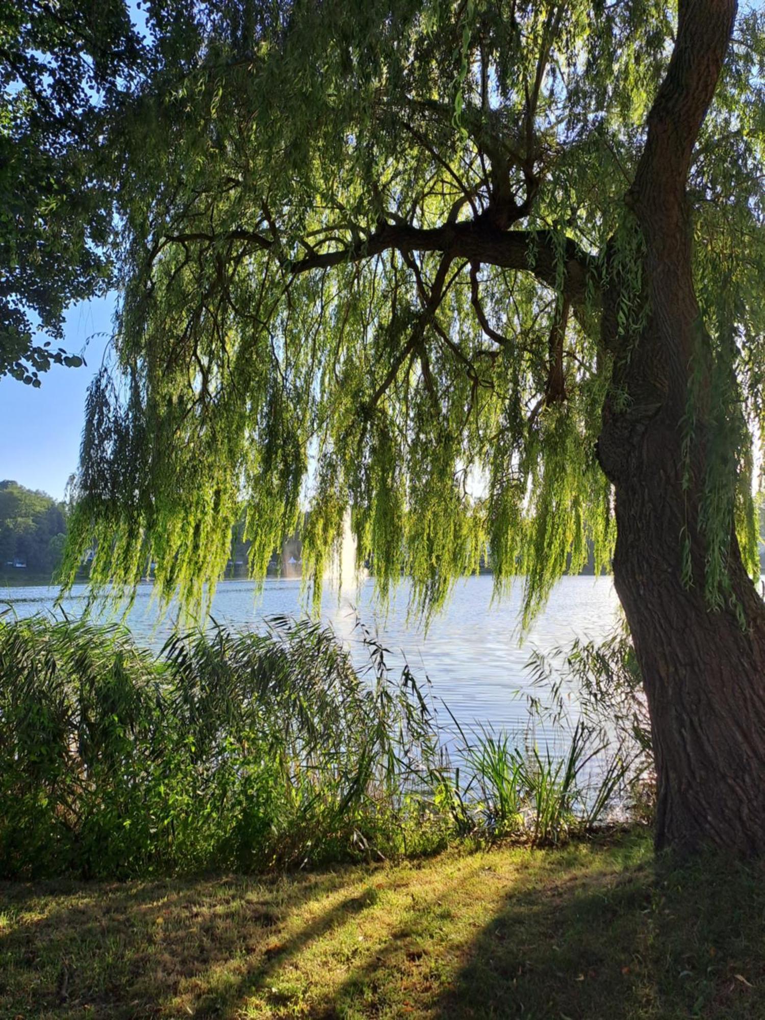 Seeblick *